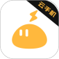 Icon description